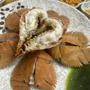 삼오칠회센타 | [제주] 제주도 꼭 먹어야할 해산물 부채새우 '삼오칠회센타' / 내돈내산 솔직후기