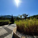 갈매천공원 이미지