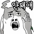 삼백육백 이미지