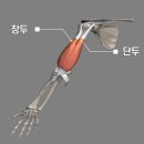 바디에이프PT 이미지