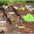 팔공산 둘레길 5구간 이미지