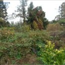 도순주유소 이미지