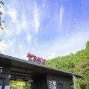 신화리로R | 양평 가볼만한곳 R401 정원 주말 나들이 추천