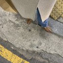 너에게로 또 다시(평일) | 광주 연극 기분좋은극장에서 너에게로 또 다시 관람