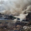 김정남농장 이미지