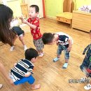 푸푸 이미지