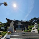 정동진백악관 이미지