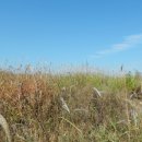 기남교차로 이미지