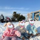 안성맞춤랜드18 이미지