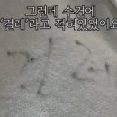 일로와호텔 이미지