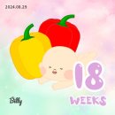 왕성갈비 | (Week 18,19) 임신 18,19주차_진짜먹부림 시작, 첫 태동, 균검사, 초코바른피스타치오 ♥️