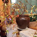 당신의 인생사진 이미지