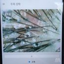 루비셀뷰티랩천안백석점 | 루비셀뷰티랩 천안 백석점 - 김광규 모델 천안 탈모케어