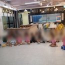 유평초교병설 네이버블로그