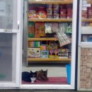 읍내로(대로3-5) 이미지