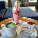 역고개농장 | 키친 205 딸기 케이크 예약 잠실 픽업 후기 크리스마스 추천