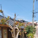 욱이네민박 이미지