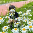 인어공원 화장실 이미지