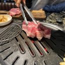 거북이동네외동