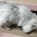 만남헤어�� 이미지