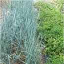 준서네 농장 이미지