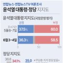 연합뉴스,연합뉴스 TV 여론조사 (6월 3~4일 조사기간) 이미지