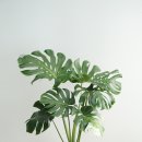 나만의 플랜테리어 이미지