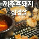 제주무릉도원집 | 제주 고기장 흑돼지 솔직 후기! 현지인 맛집 인정👍