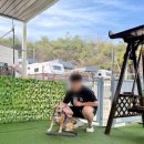 라르고 | 인천 영흥도 애견동반펜션 | 대형견도 가능한 <라르고 펜션> 내돈내산 후기