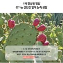 쏭헬스 | 니아르 브이케어 리치피치맛으로 시작하는 붓기관리템추천! 붓기 캔디 효과로 간편하게 붓기제거 후기