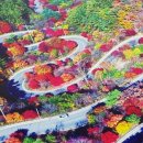 소백산자락길 제6코스 Daum카페