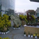 한국생명과학고등학교 이미지