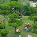 갈월서로 이미지