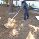 성주초교병설유치원 이미지