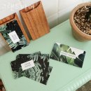 서울파머 이미지