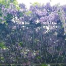 평리6동행정복지센터 이미지