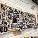 도그메리트 강아지 이미지