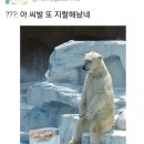 산쪼메 이미지