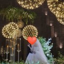 파라다이스 | 대구 달서구 / 2월 어두운 웨딩홀 파라다이스 하객 후기