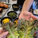 꼬꼬C참숯닭갈비 | [경기 동두천] 동두천맛집 꼬꼬숯불닭갈비 방문후기