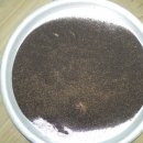 진태농장 이미지