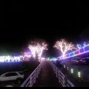 청도 프로방스 불빛축제 (21일 밤) 이미지