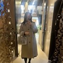 고바이씬
