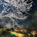 하이노가리 이미지