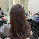 리뷰 :: 톤다운 염색 아데르헤어 광명철산역점 채경원장님에게 시술 받은 솔직 후기 추천!