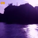 블루아리랑 이미지
