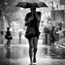 (주)가인 이미지