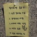 우석다방 | 두바이 오픈런을 성공하는 그날까지