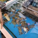 남당항로 이미지