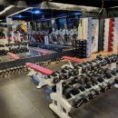 온리유휘트니스 이미지